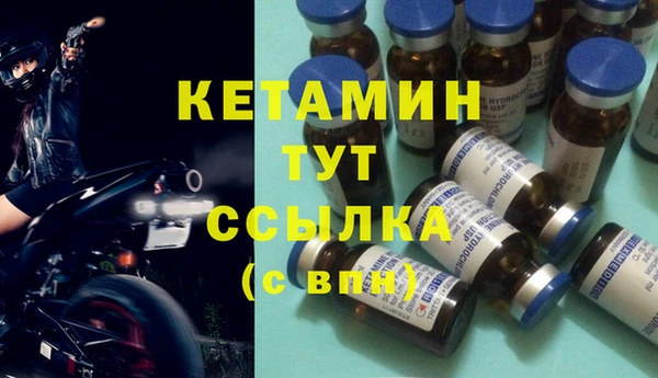крисы Алзамай