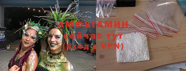 крисы Алзамай