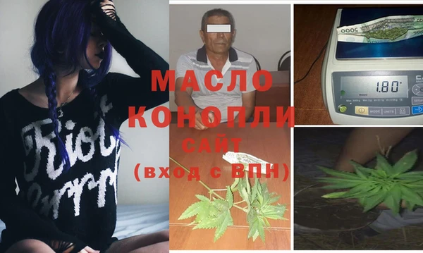 крисы Алзамай