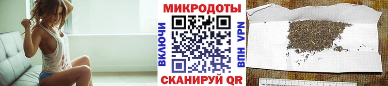 Галлюциногенные грибы мухоморы  OMG как войти  Сясьстрой 